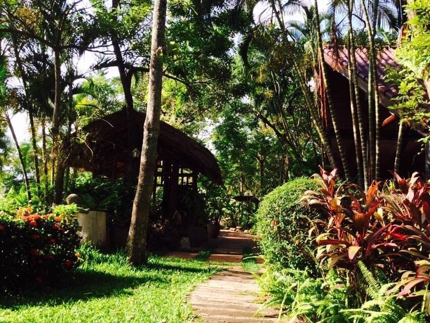 Phu Pha Nam 4* Dan Sai