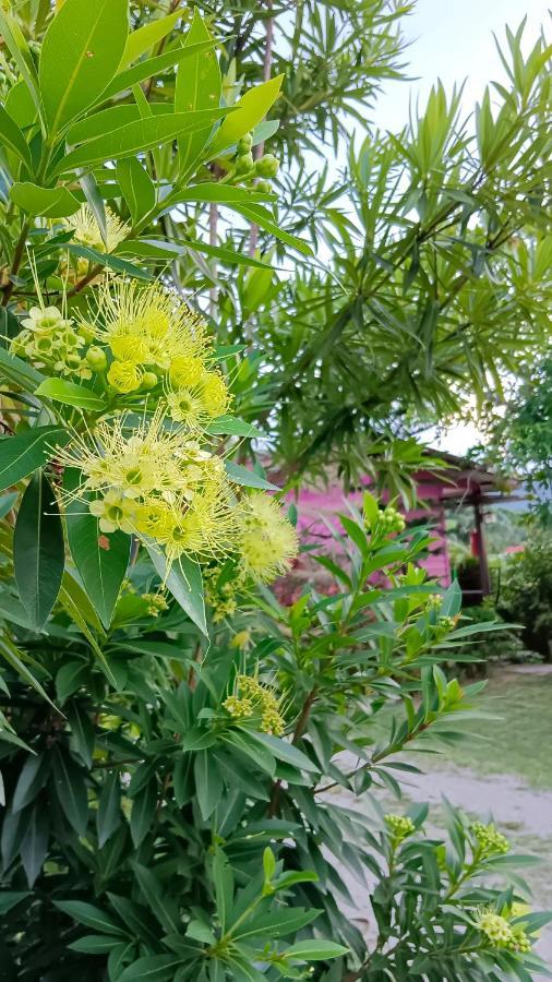 4 Seasons Mini House Resort Nakhon Si Thammarat