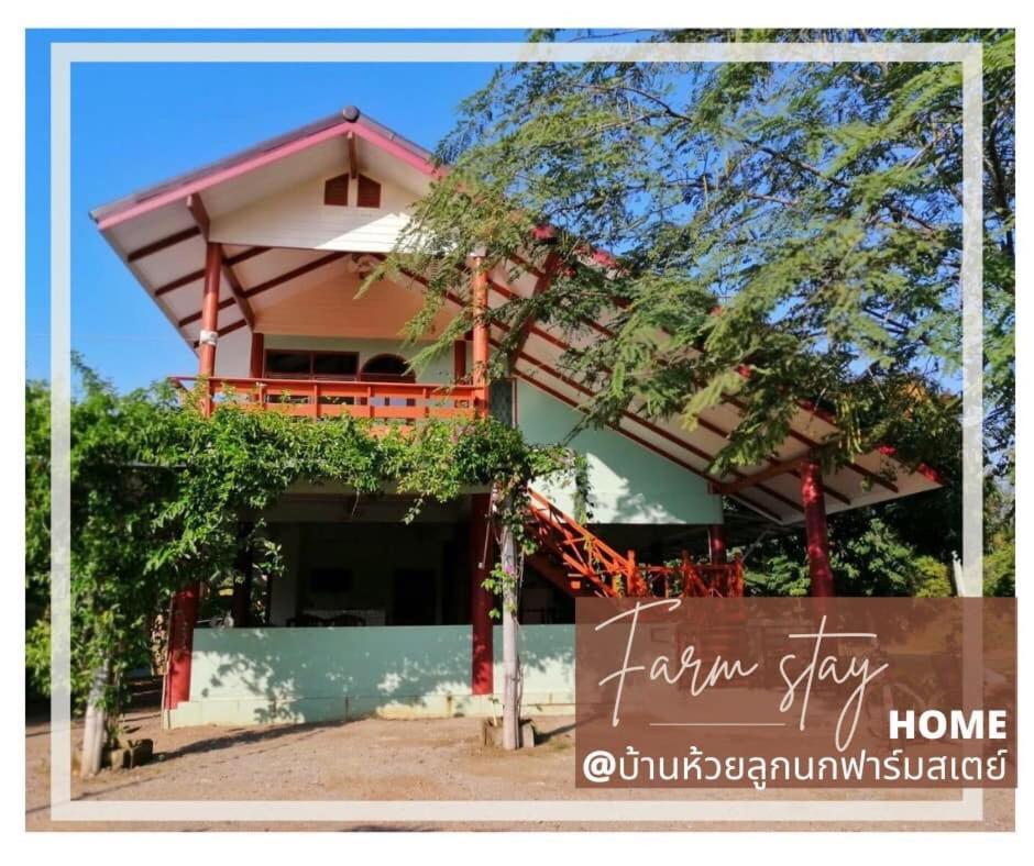 บ้านห้วยลูกนกฟาร์มสเตย์ Banhuailuknok
