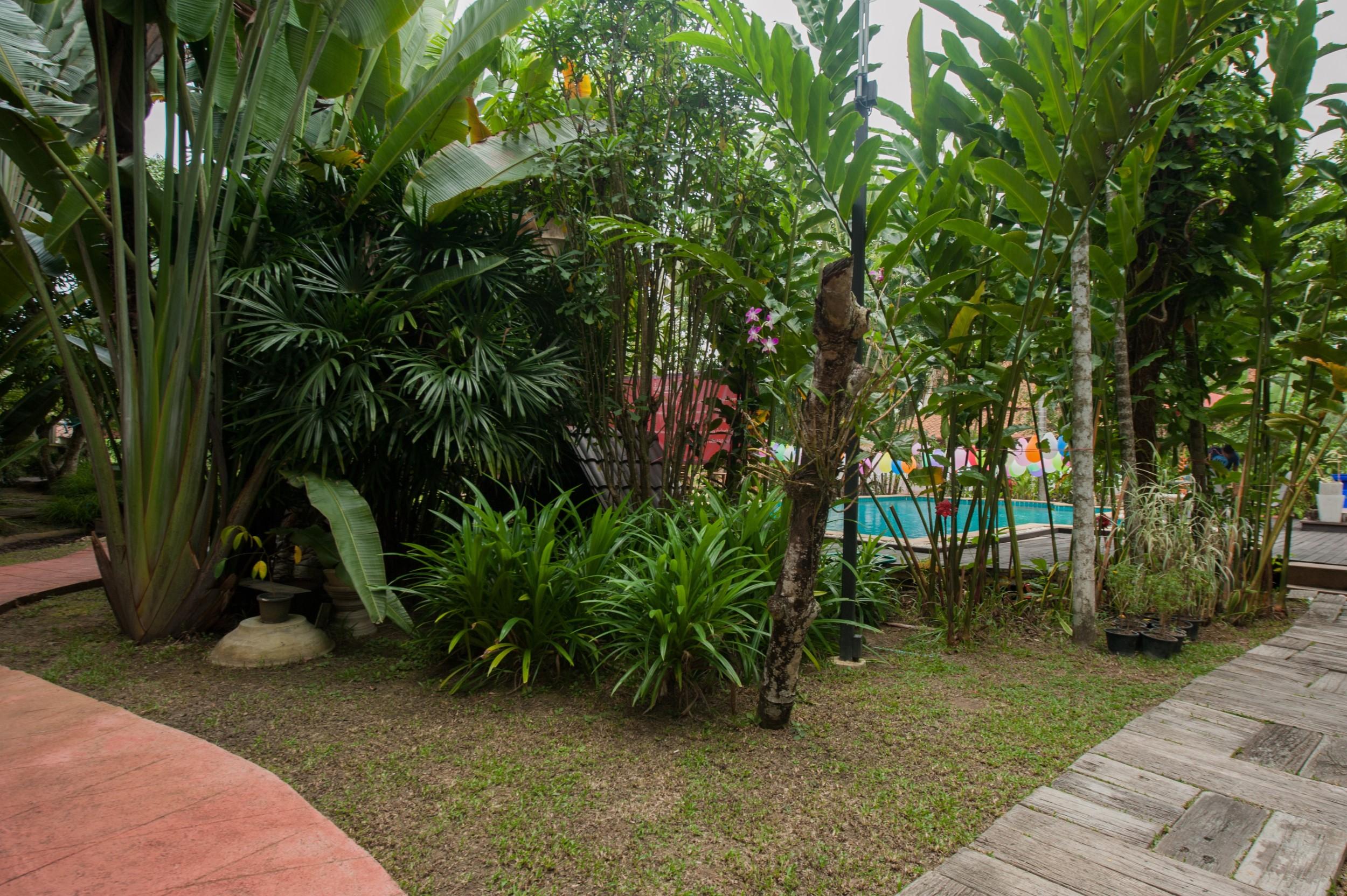 Ruen Ariya Resort Mae Rim