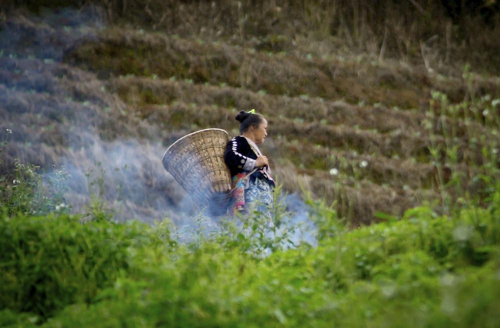 Hmong Hilltribe *