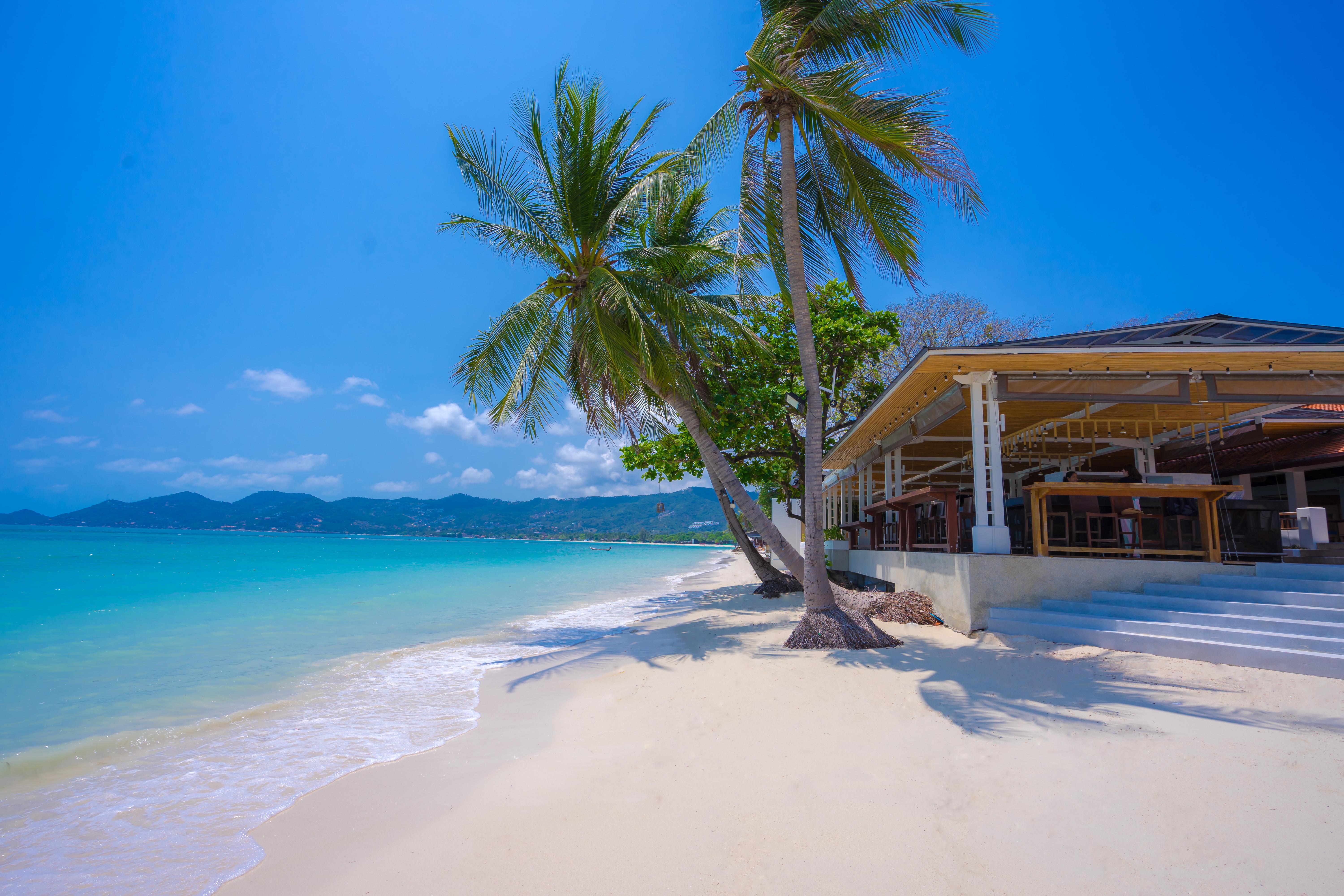 Regent Resort Chaweng (Koh Samui)