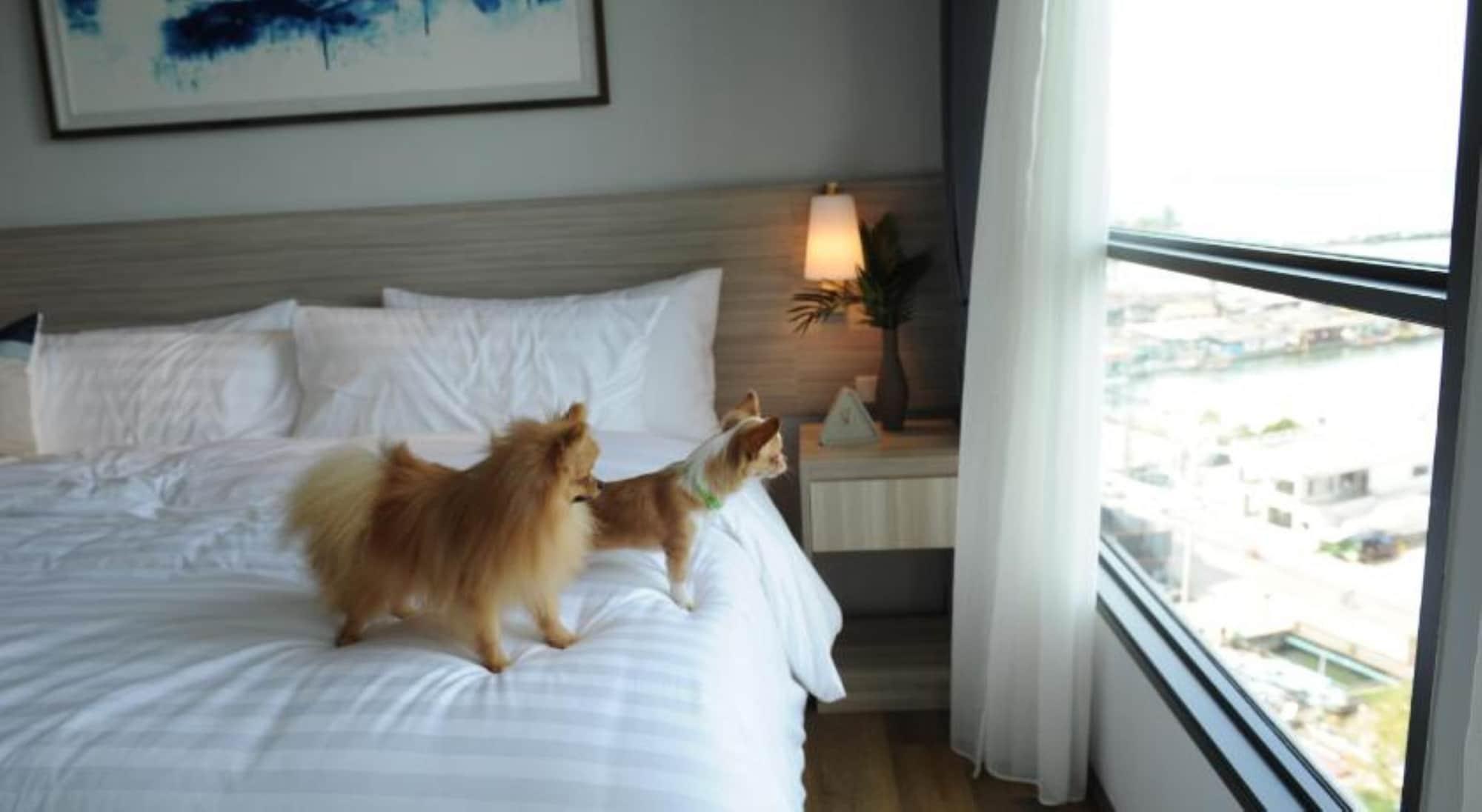 Oakwood & Sri Racha Hotel 5*