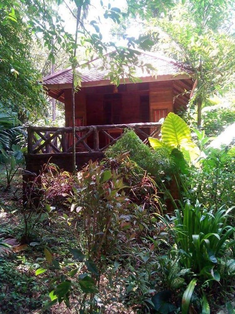 Resort Art's Riverview Khao Sok National Park