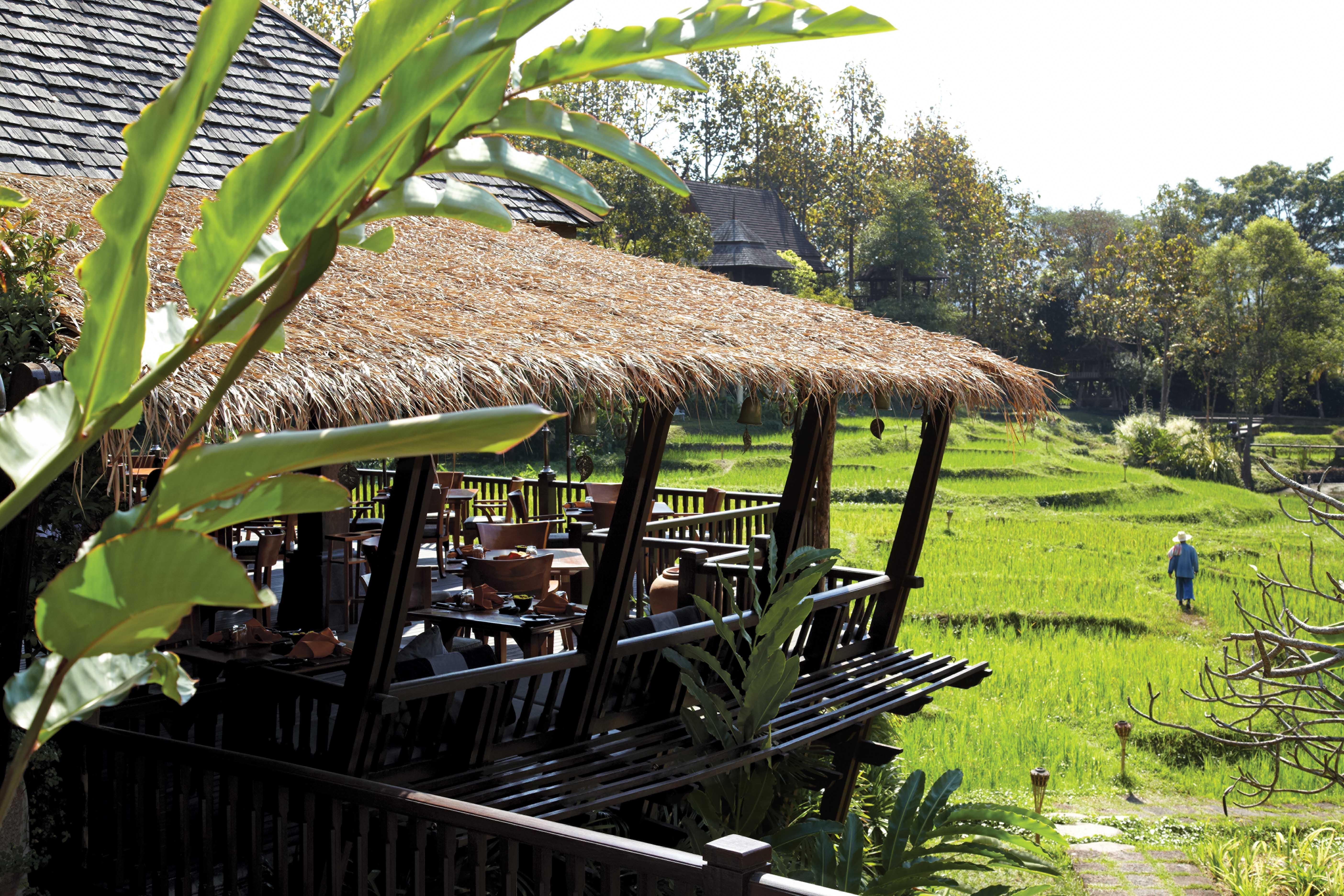 Resort Four Seasons Chiang Mai 5*
