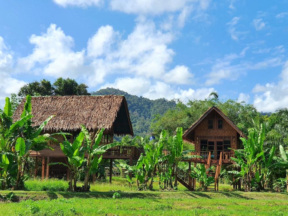 Resort Our Jungle Camp - Eco
