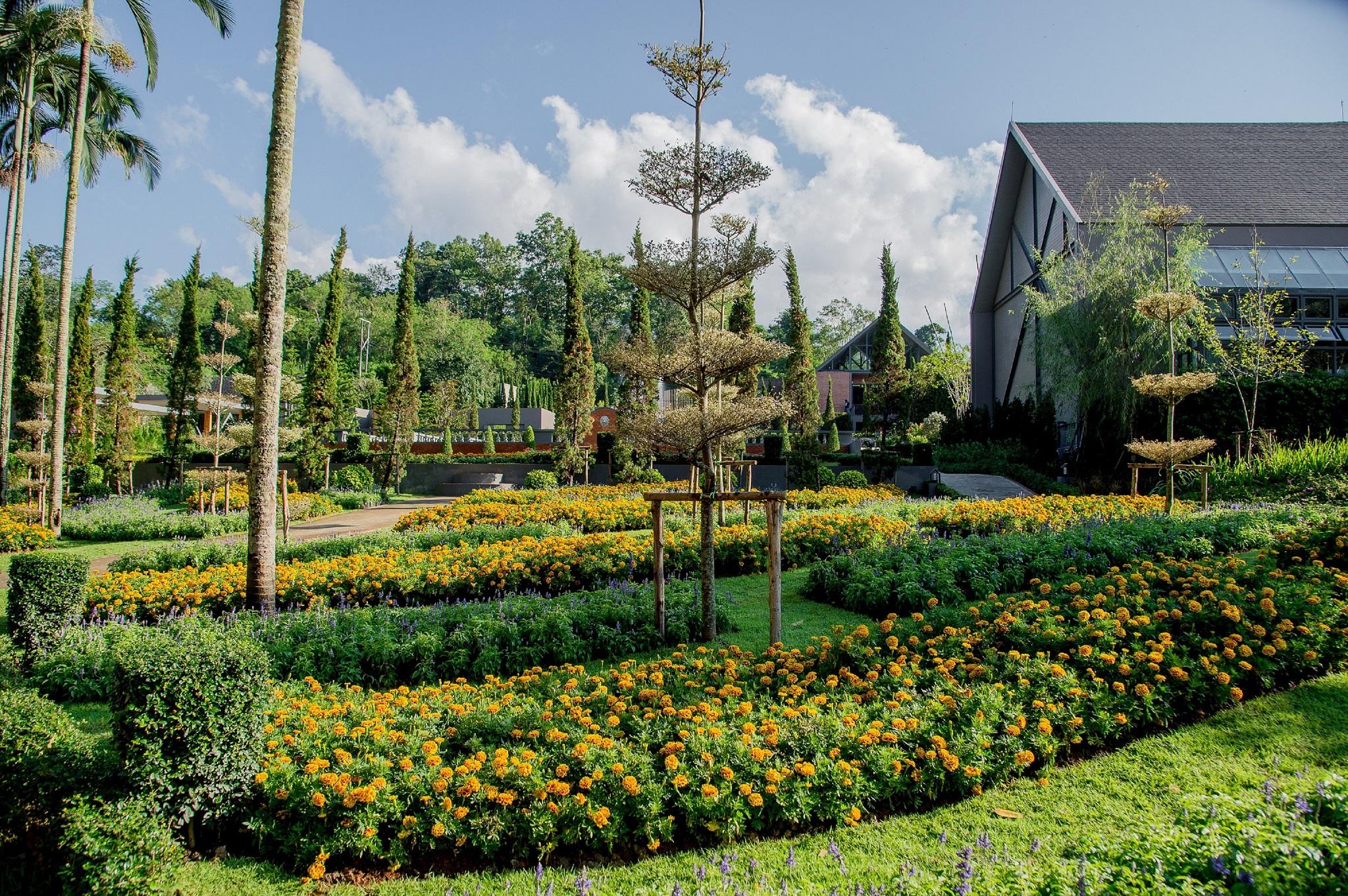 Flora Creek 5*