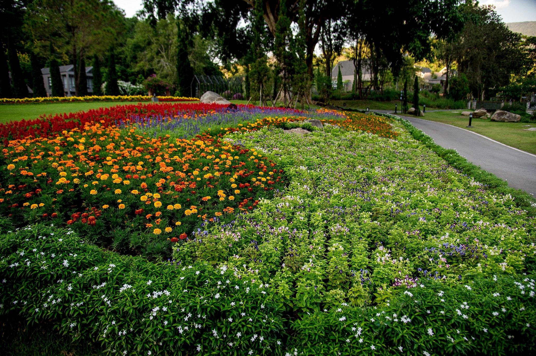 Flora Creek