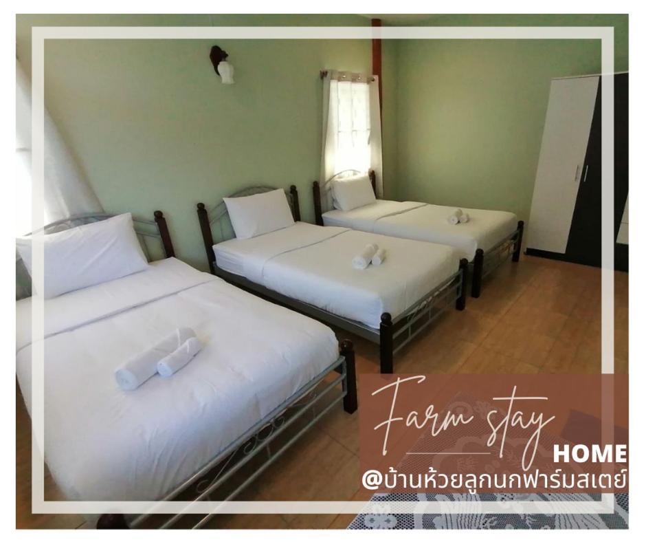 บ้านห้วยลูกนกฟาร์มสเตย์ Banhuailuknok Holiday home *