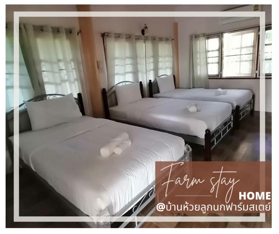 บ้านห้วยลูกนกฟาร์มสเตย์ Banhuailuknok * Ratchaburi