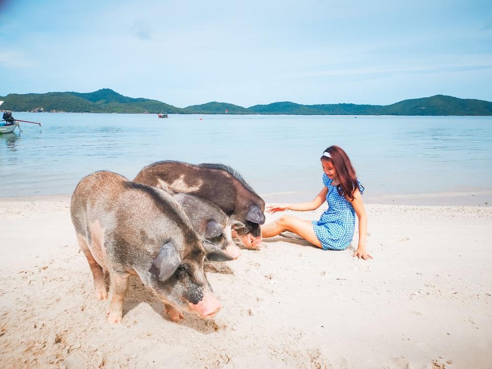 By Avani+ Samui 5*