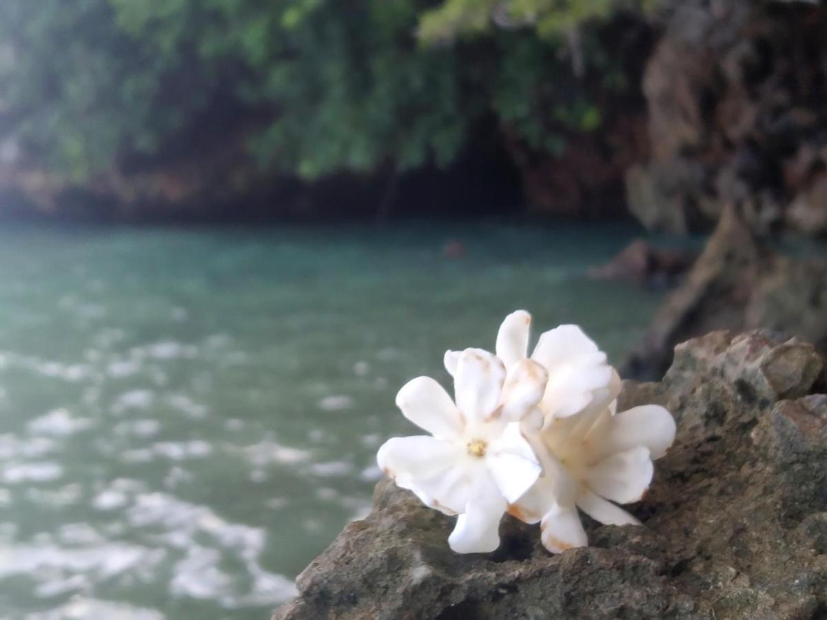 บ้านปู Homestay Ko Yao Noi
