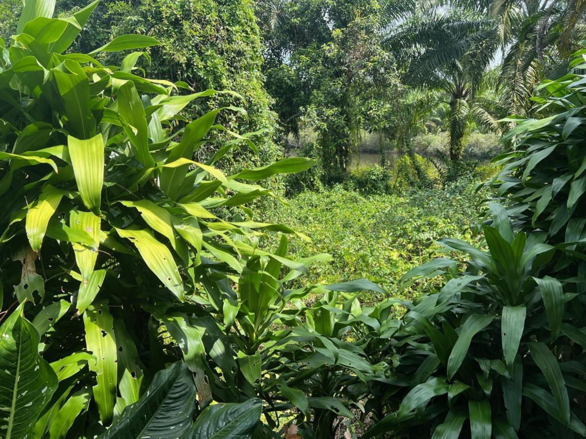 Resort Garden Bungalow