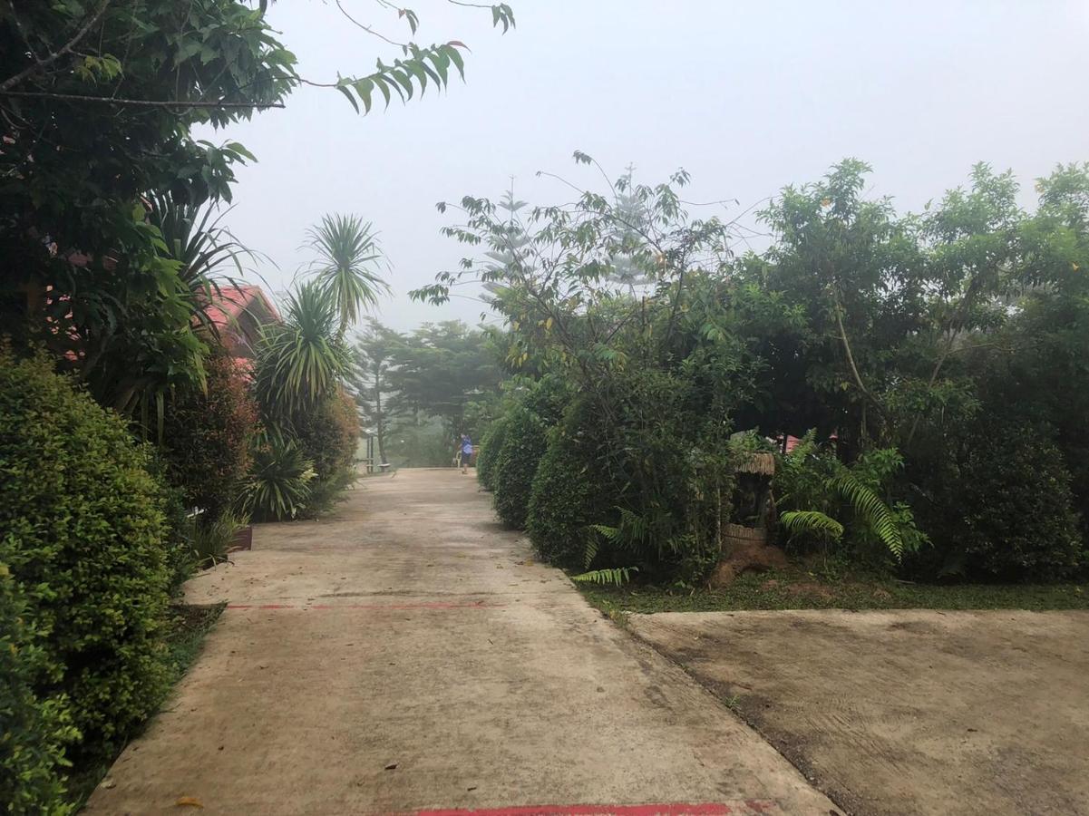 Tonkaew Khaokao Campson