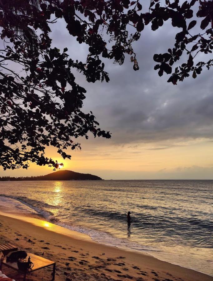 Chill Lipa Noi And Cafe Hostel Koh Samui