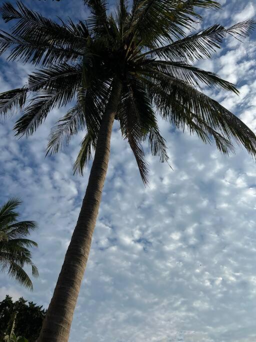 Sea Lulaby Ko Pha Ngan