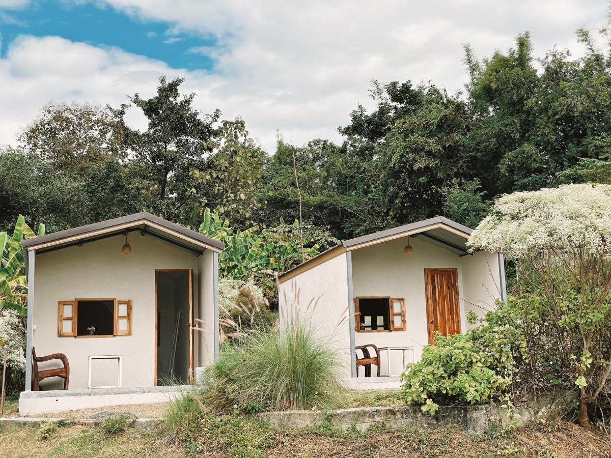 Lodge Monko Mini