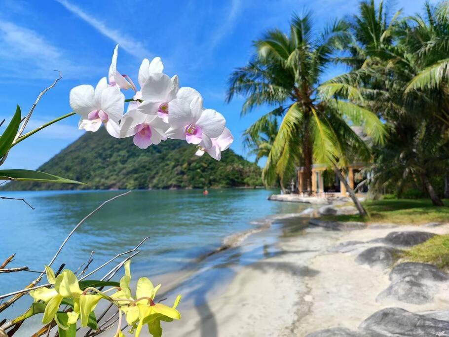 Apartment Chillax Luxury Pool - Koh Chang Ban Khlong Son (Koh Chang)