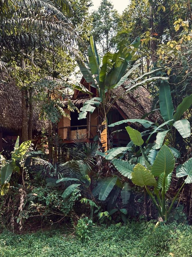 Khao Sok Paradise