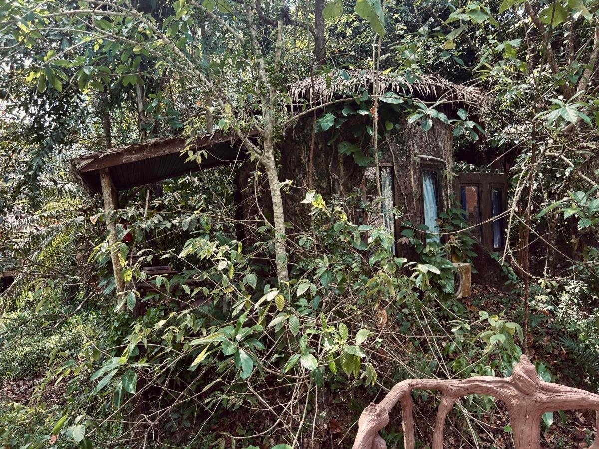 Khao Sok Paradise 3*