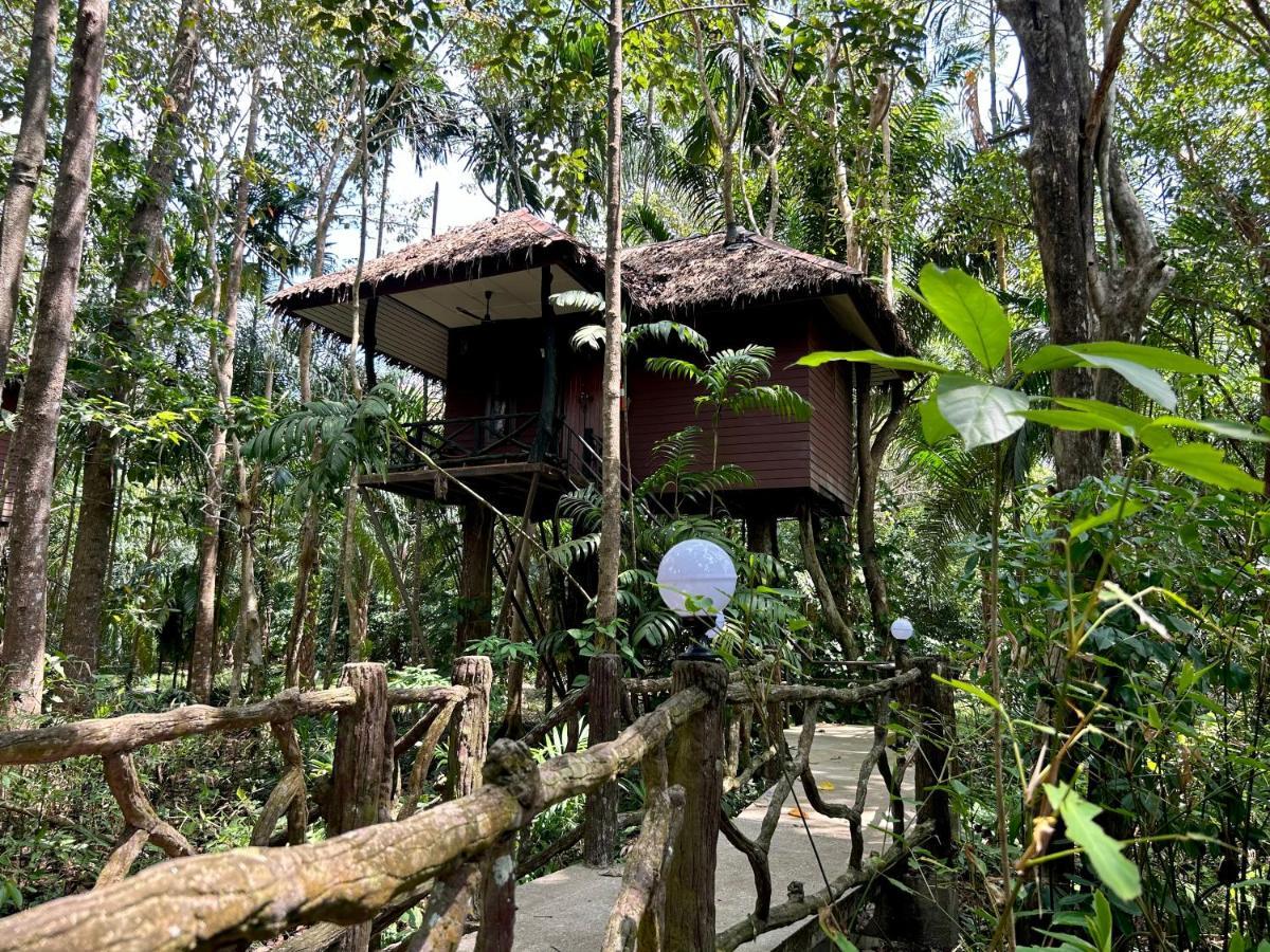 Khao Sok Paradise 3*