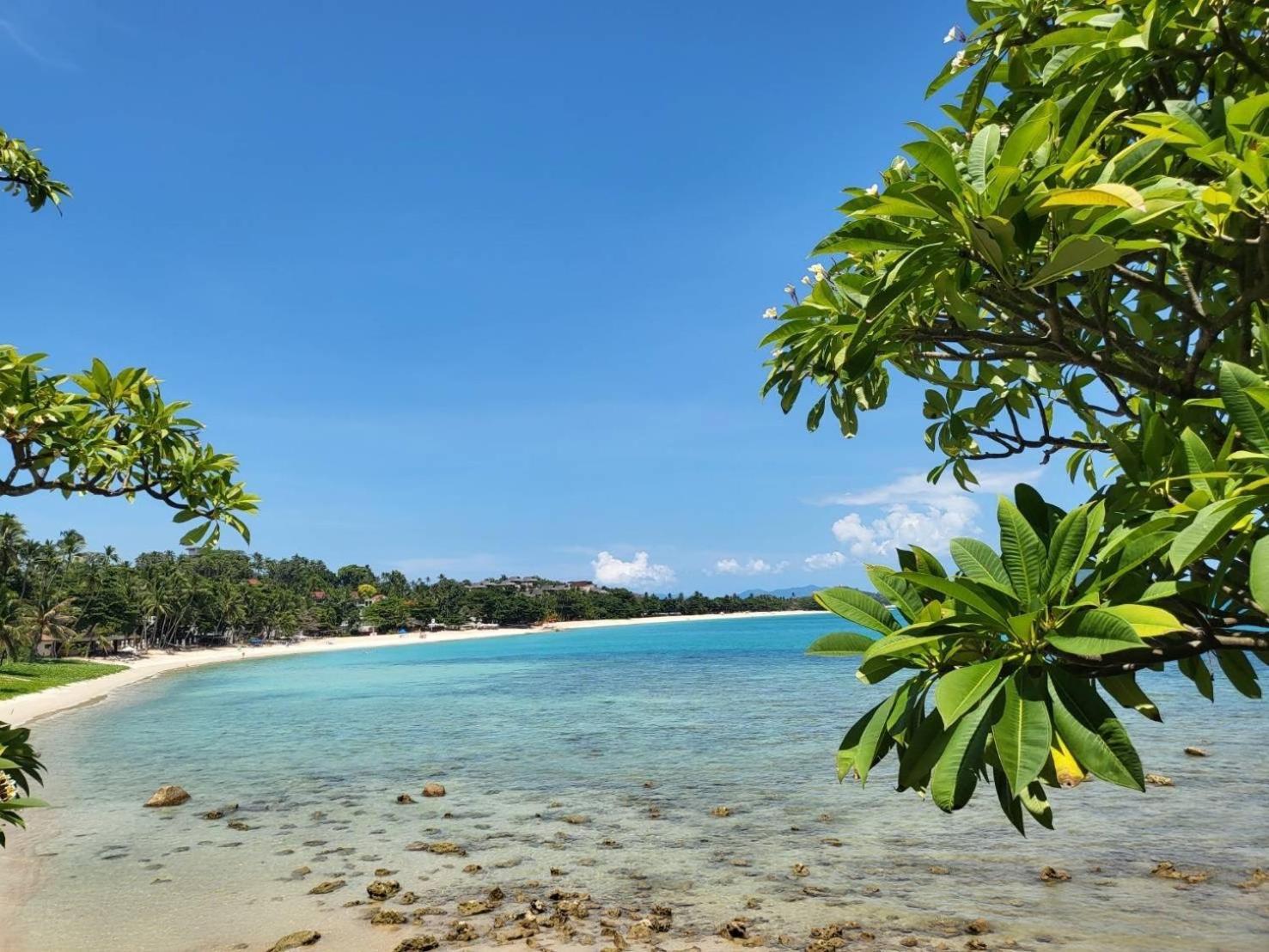 The Sarann - Sha Extra Chaweng (Koh Samui)