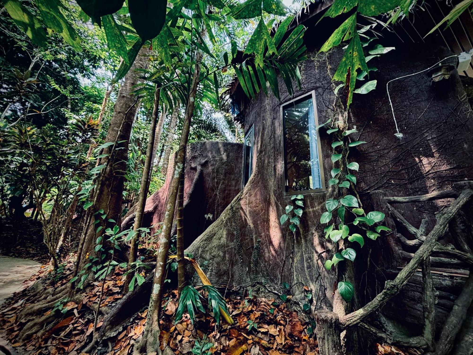 Khao Sok Paradise 3*