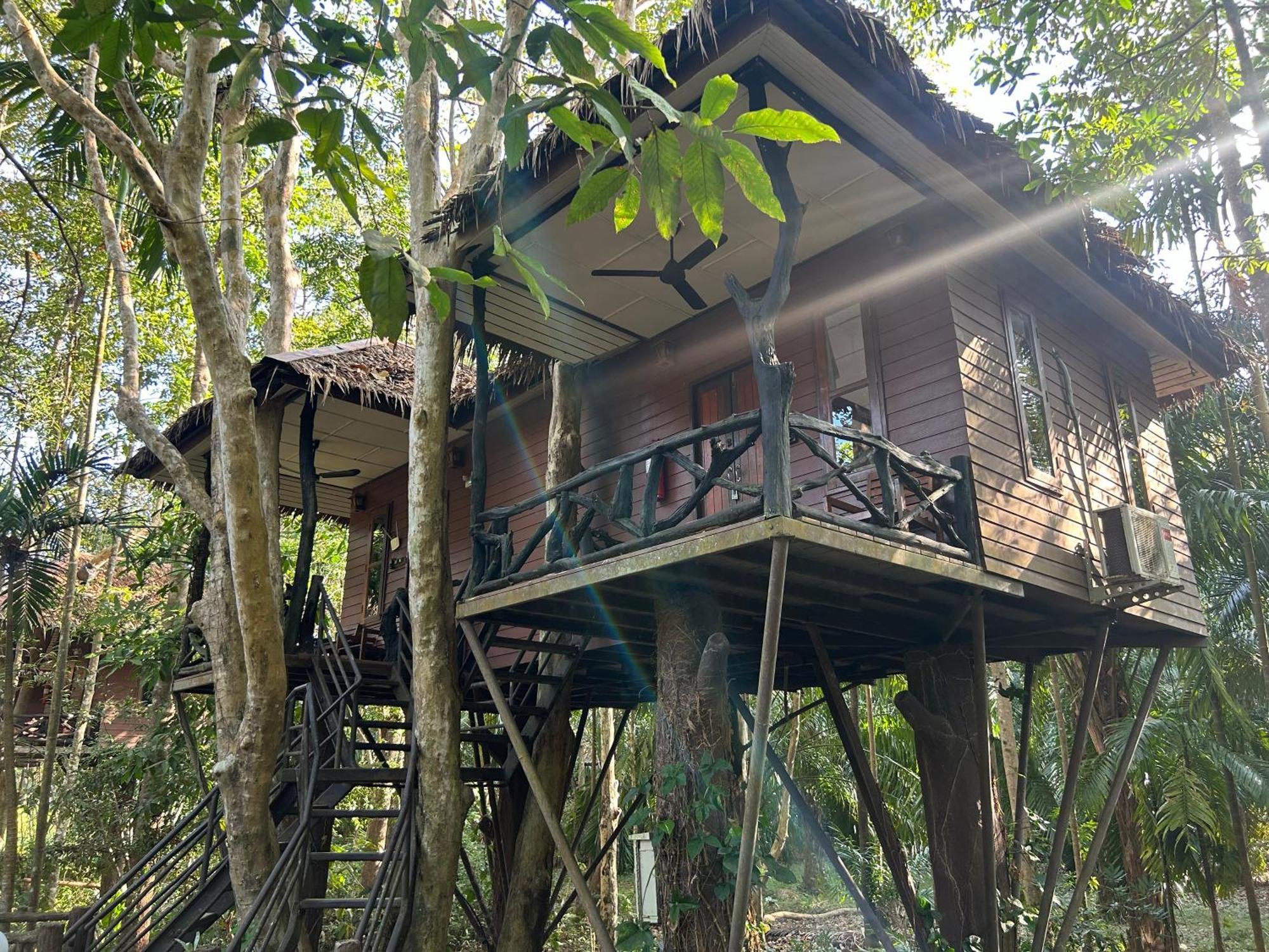 Resort Khao Sok Paradise 3*