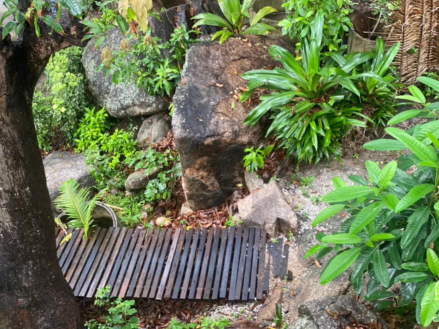 P.d. Resort Ko Tao