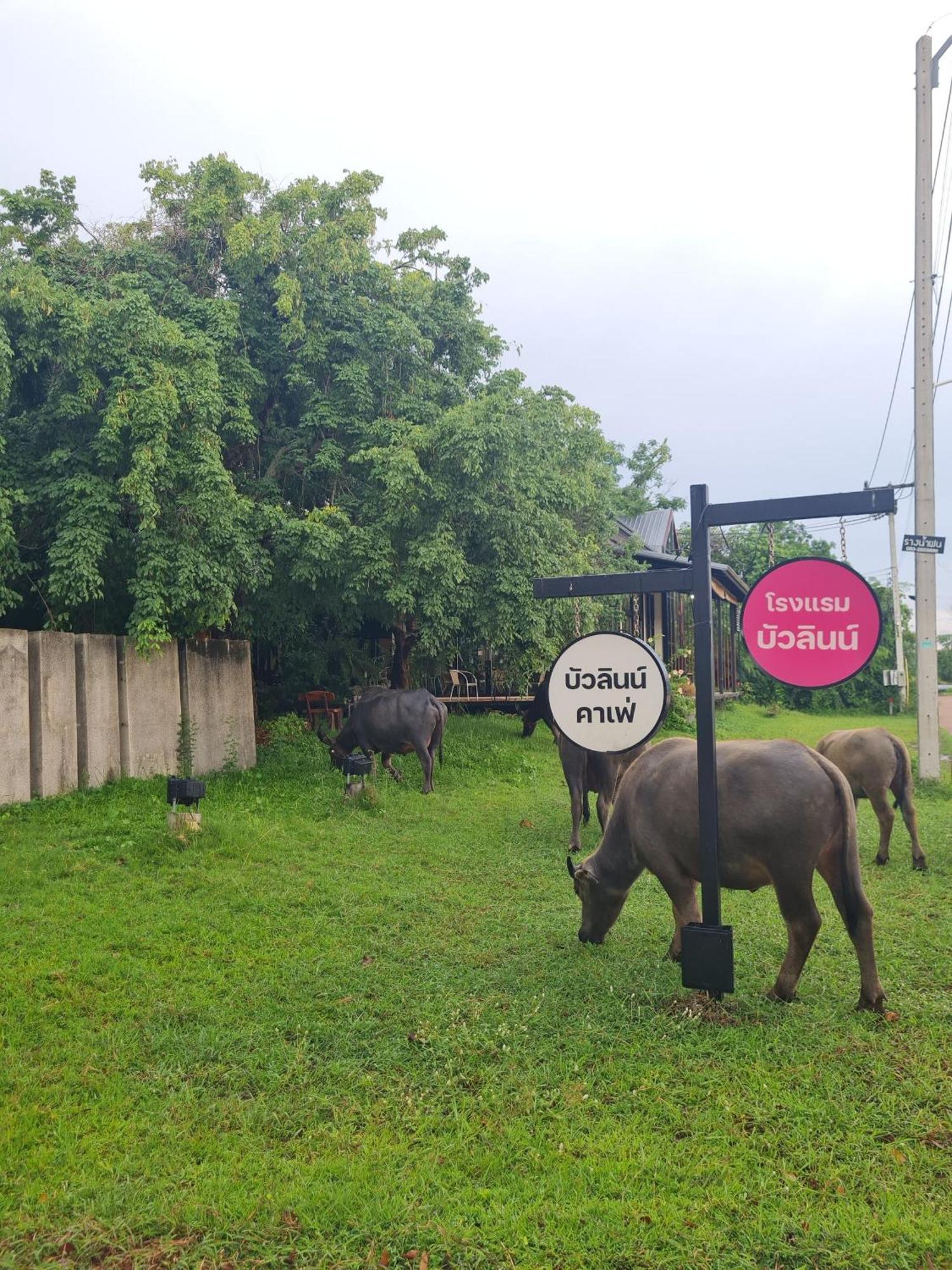 Bualinn Nong Khai