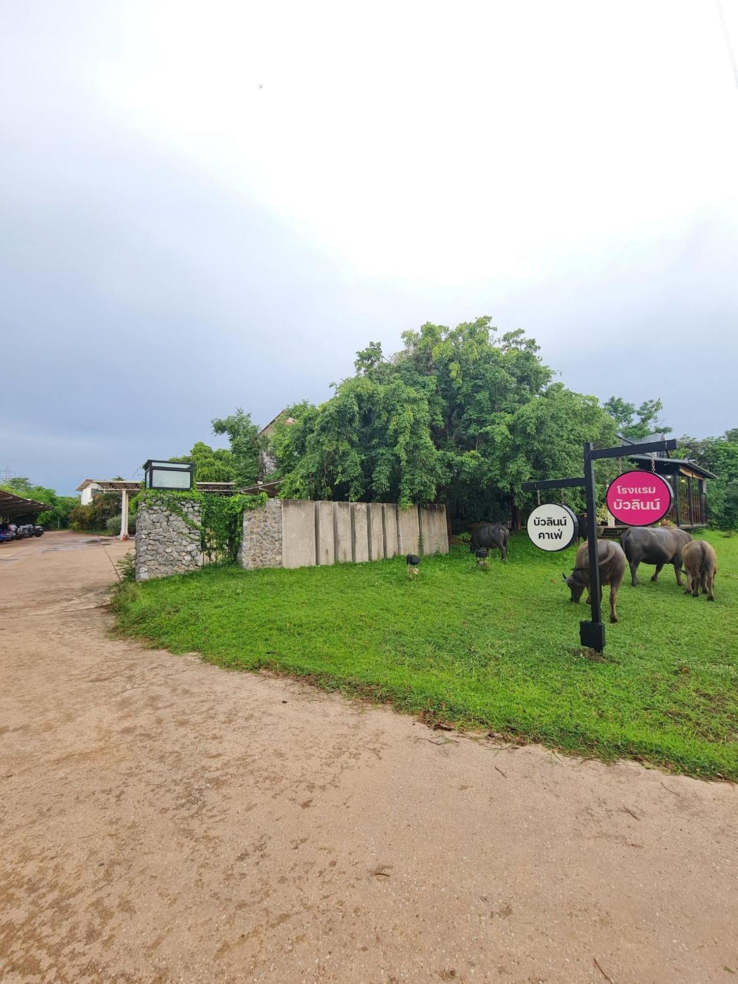 Bualinn Resort Nong Khai