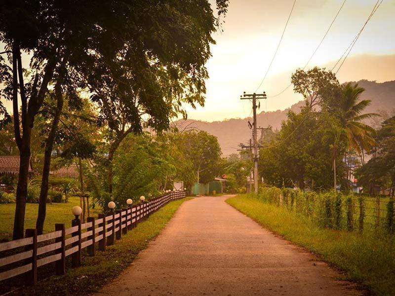 Resort Family Khao Yai