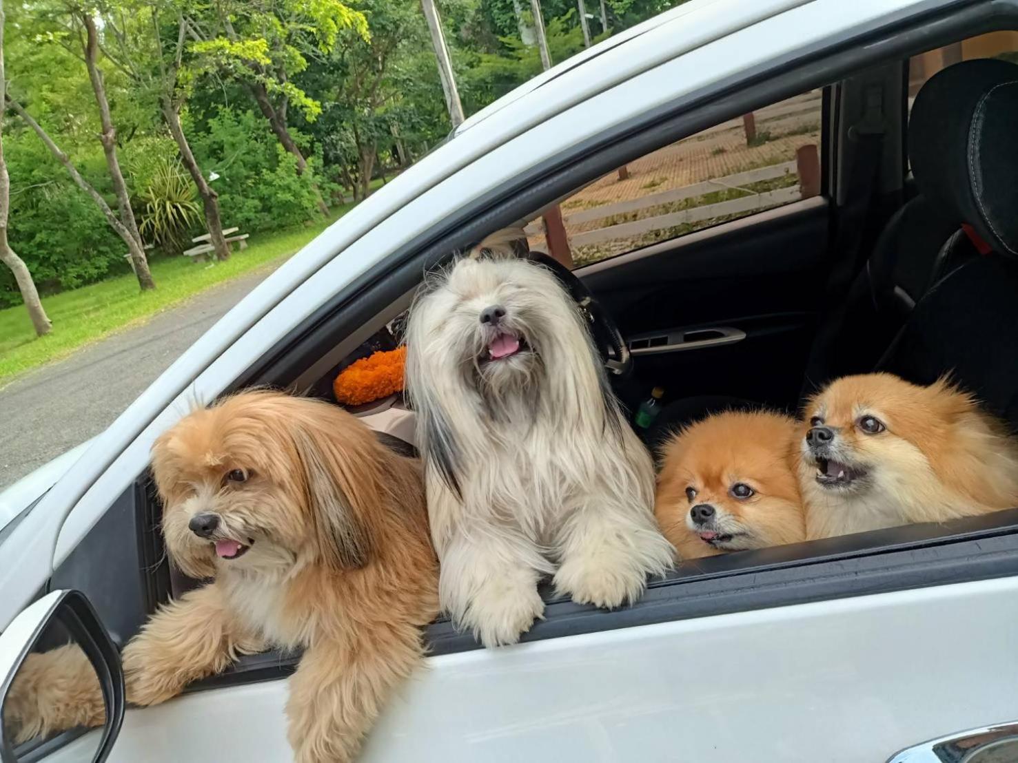 Family Khao Yai Mu Si