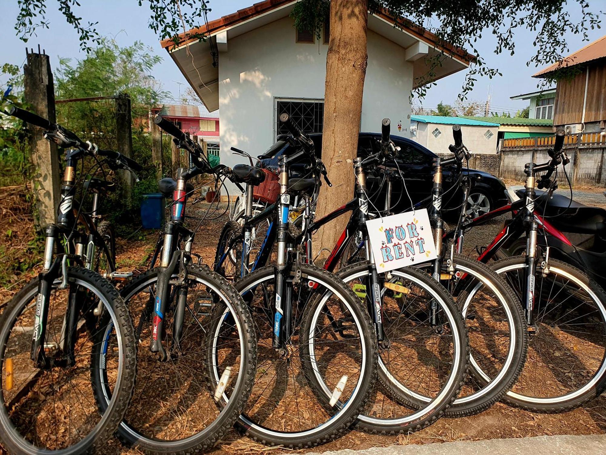 Guest house Ktt And Motorbike & Bicycle For Rents