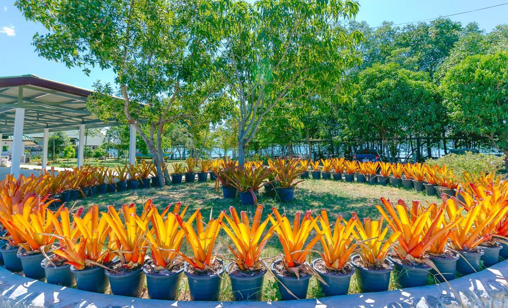 Resort Meena