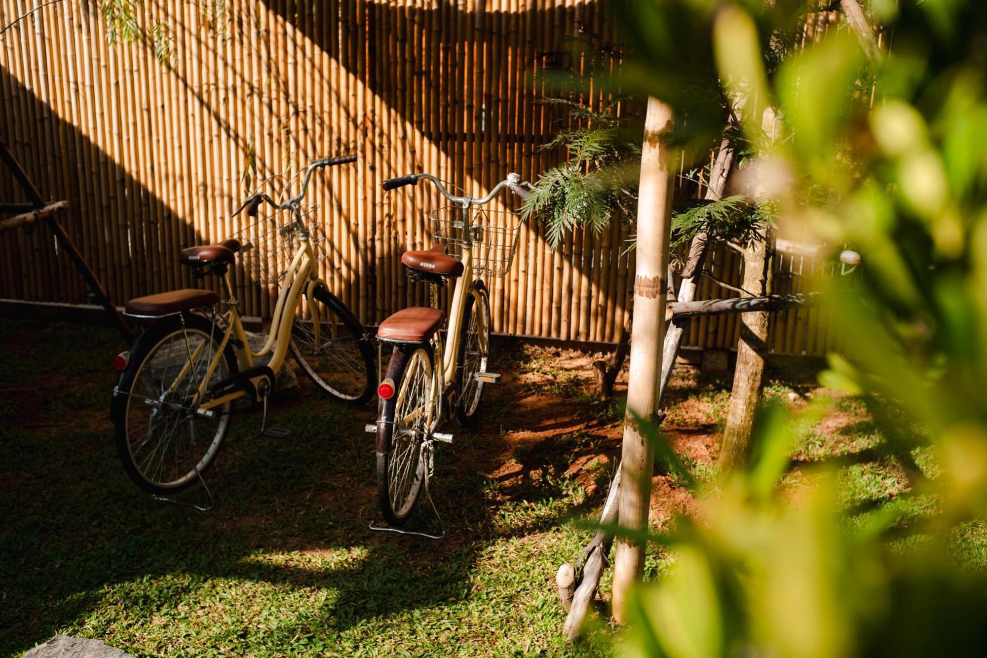 Resort Thara Dara Khaoyai 4*