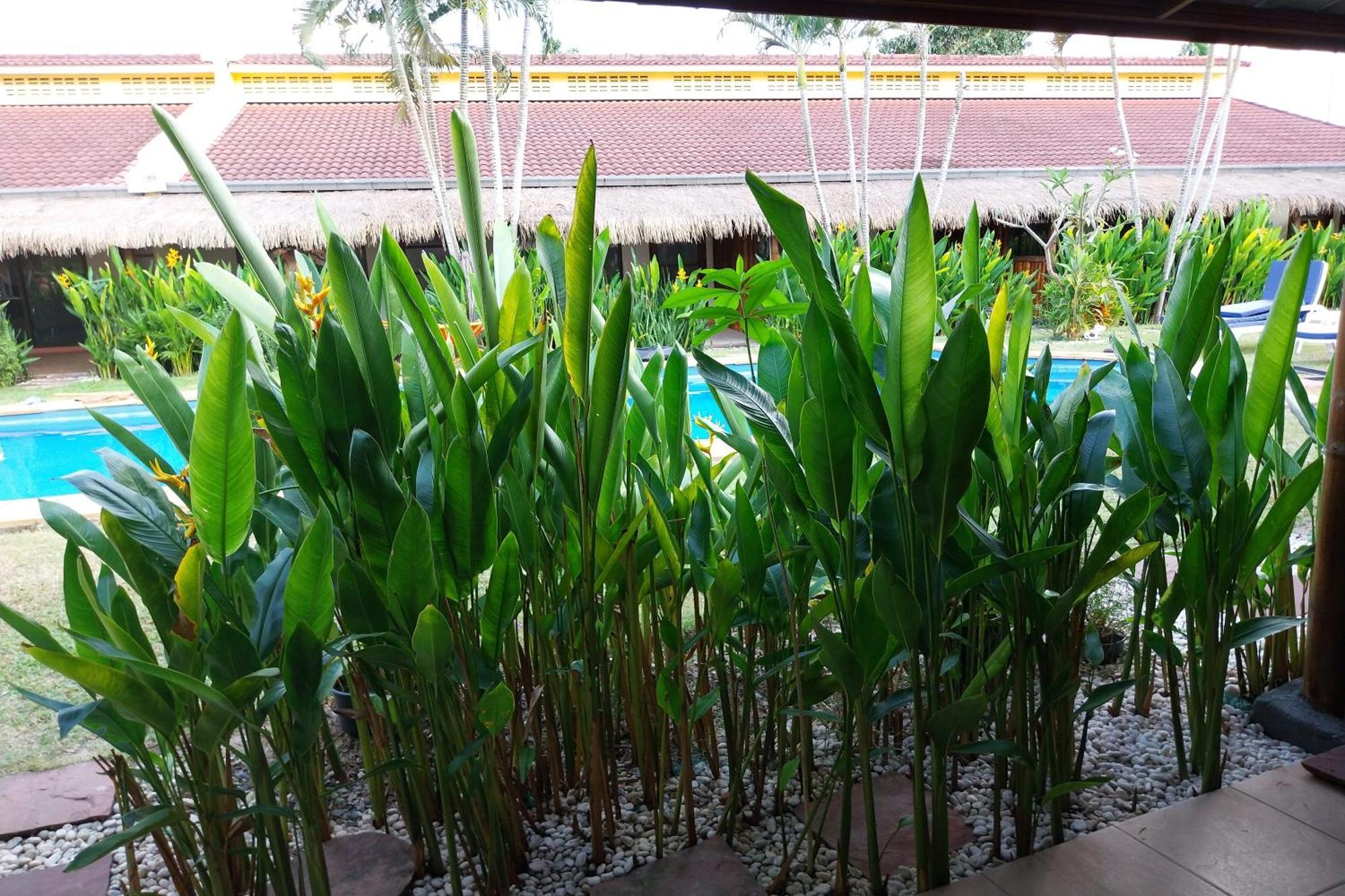 Resort Kanchira 5*