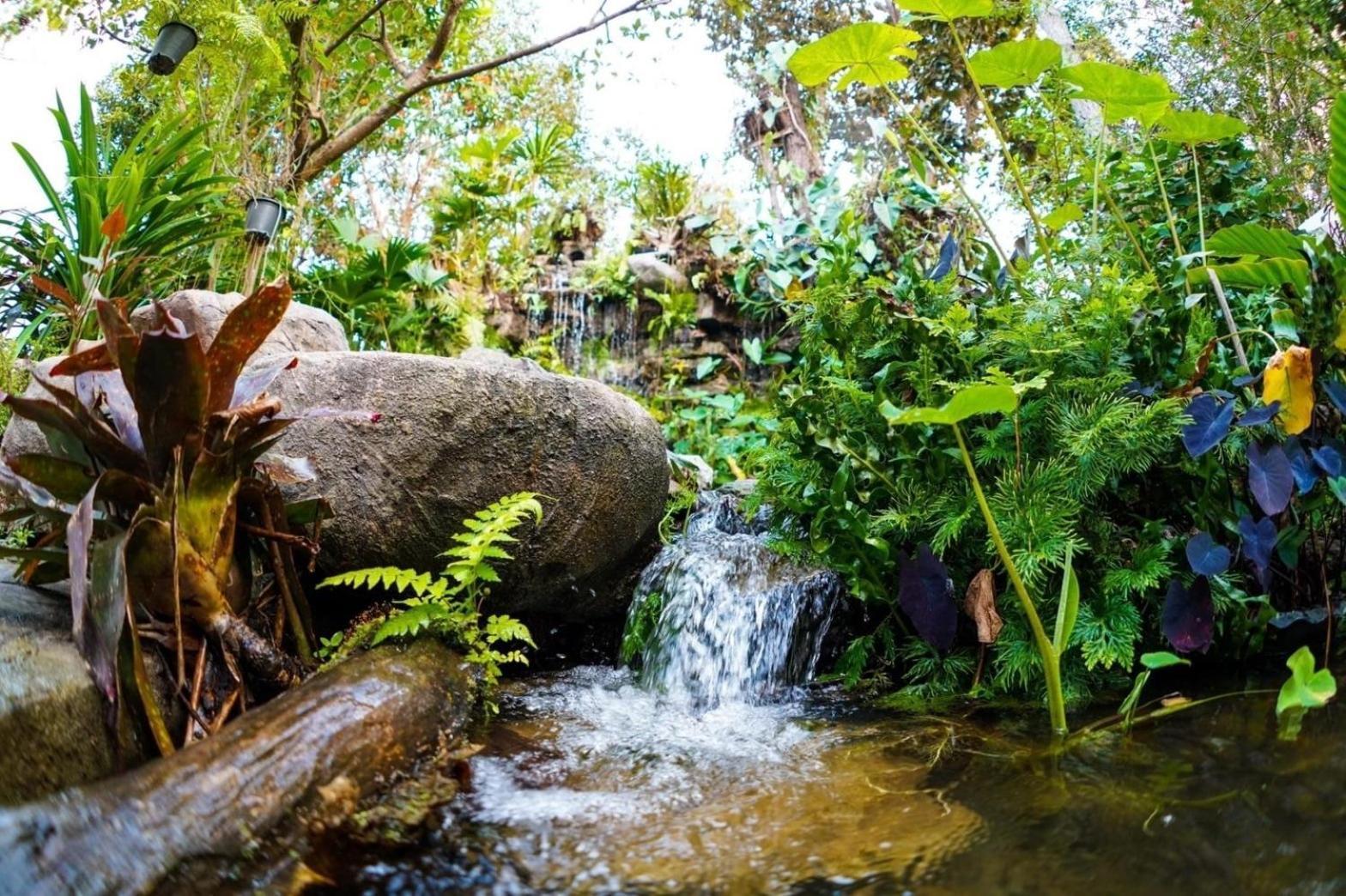 Baan Pingkan Wellness