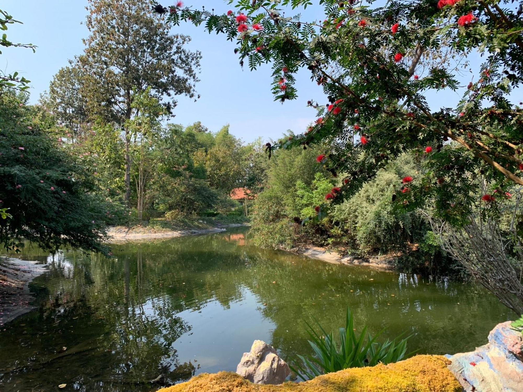 Baan Pingkan Wellness