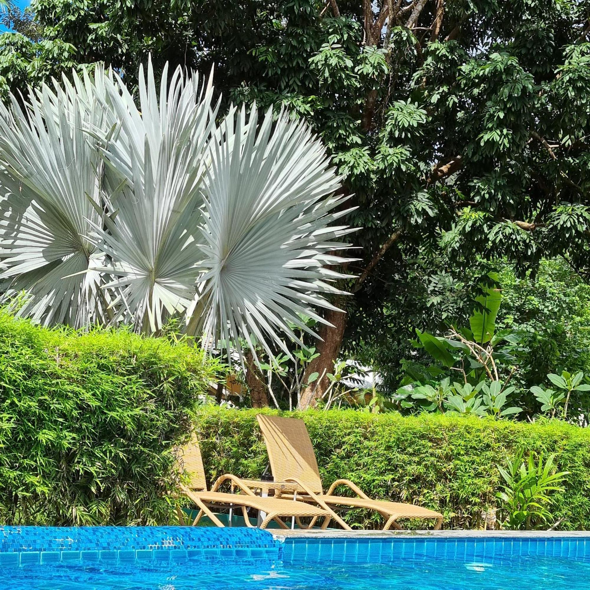 Filou Orchid Pool Access 29 63 Koh Chang