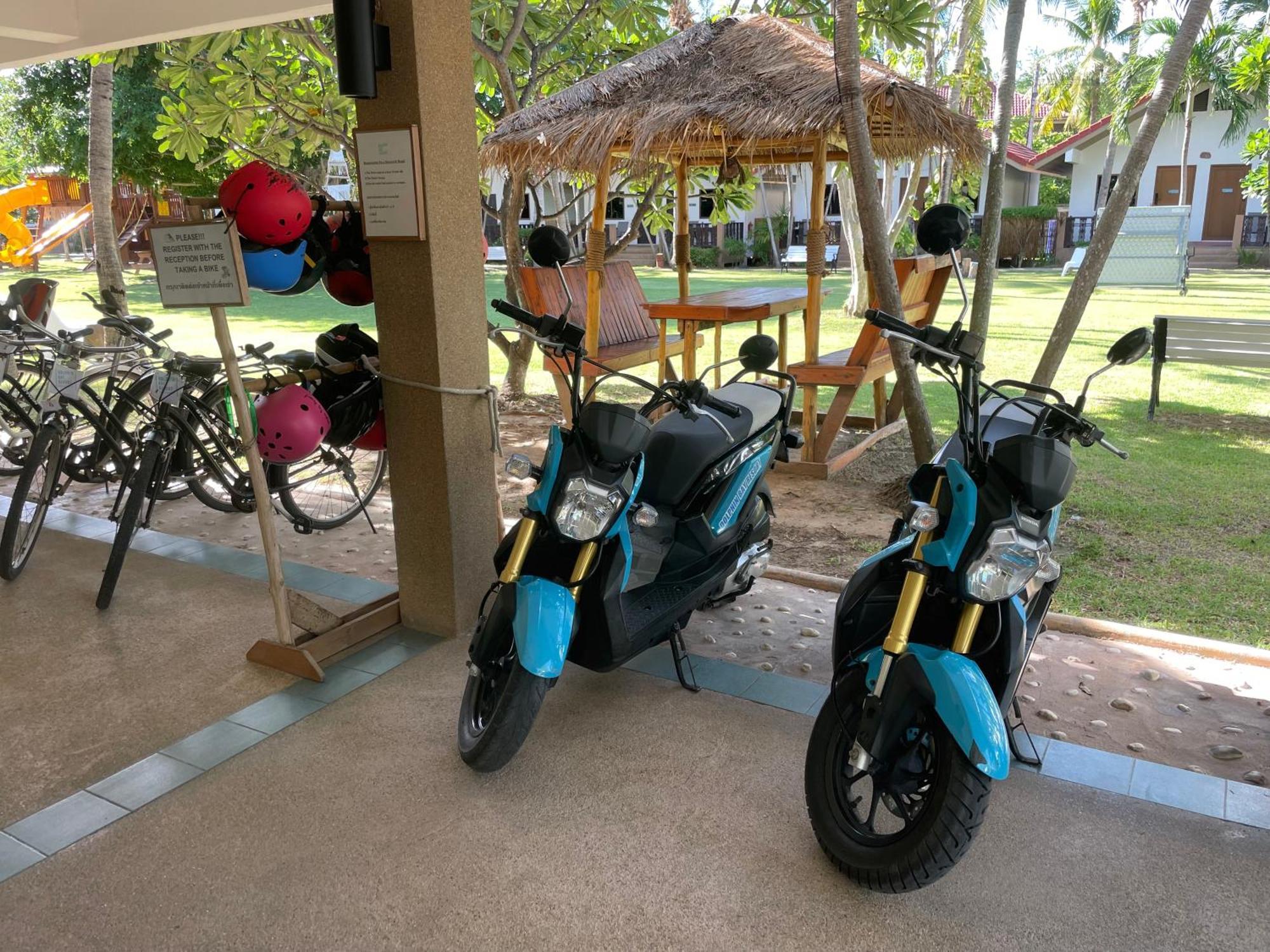 Resort Dolphin Bay