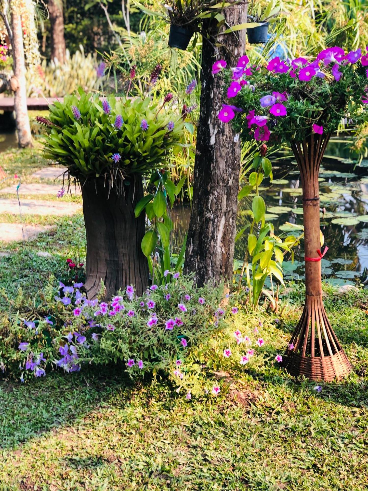Pura Vida Resort Pai