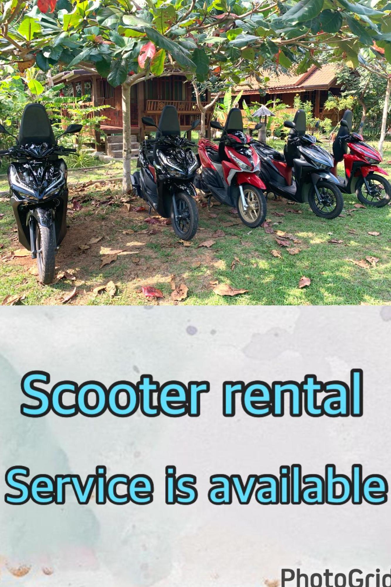 Homestay Kohkoodfarmstay