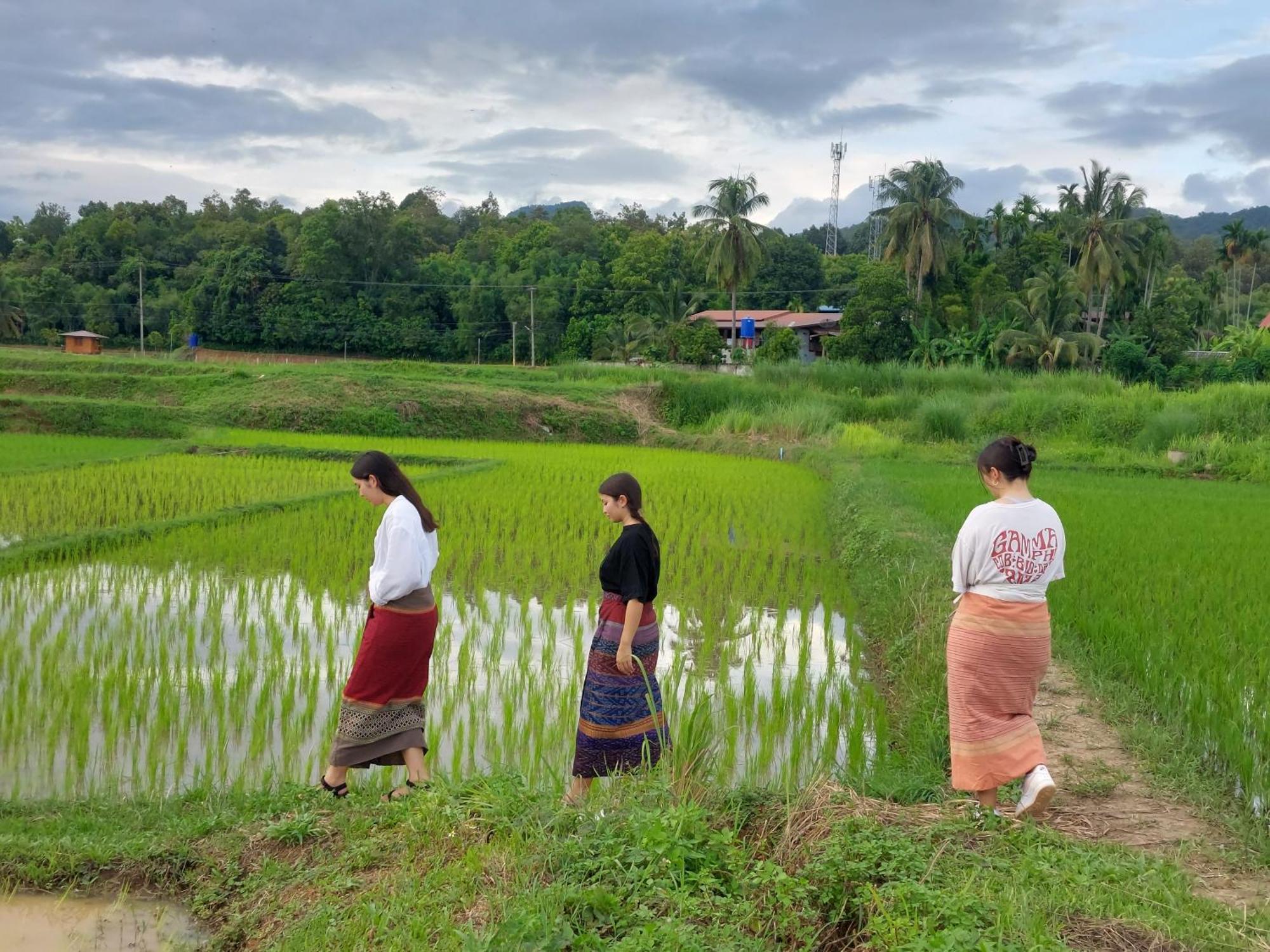 Ban Suan Nai Fun Homestay