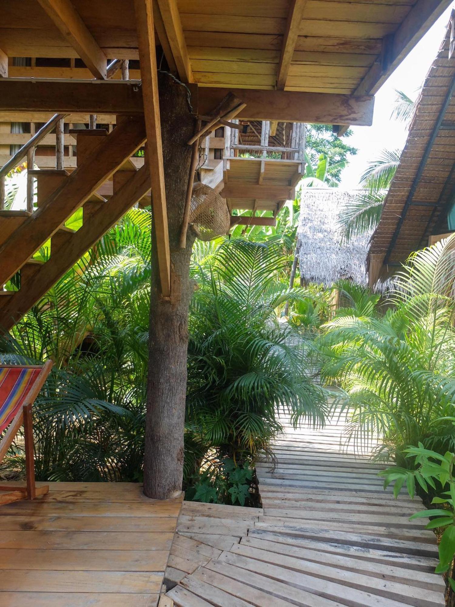 The Tropical *