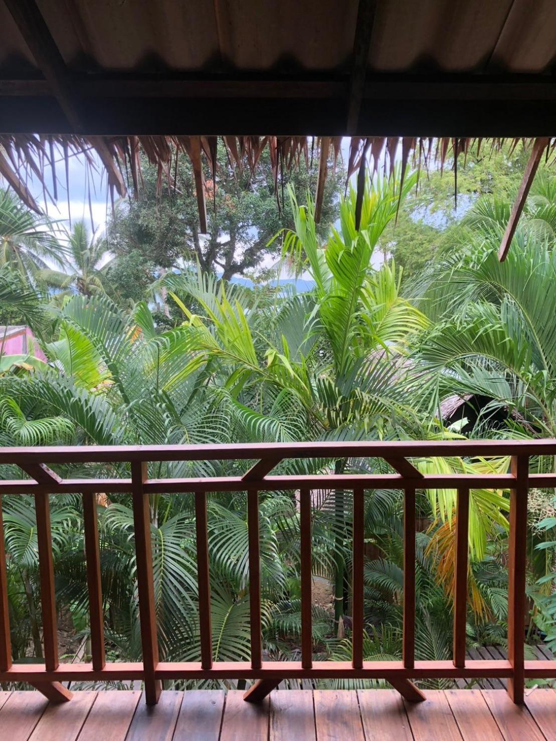 Lodge The Tropical