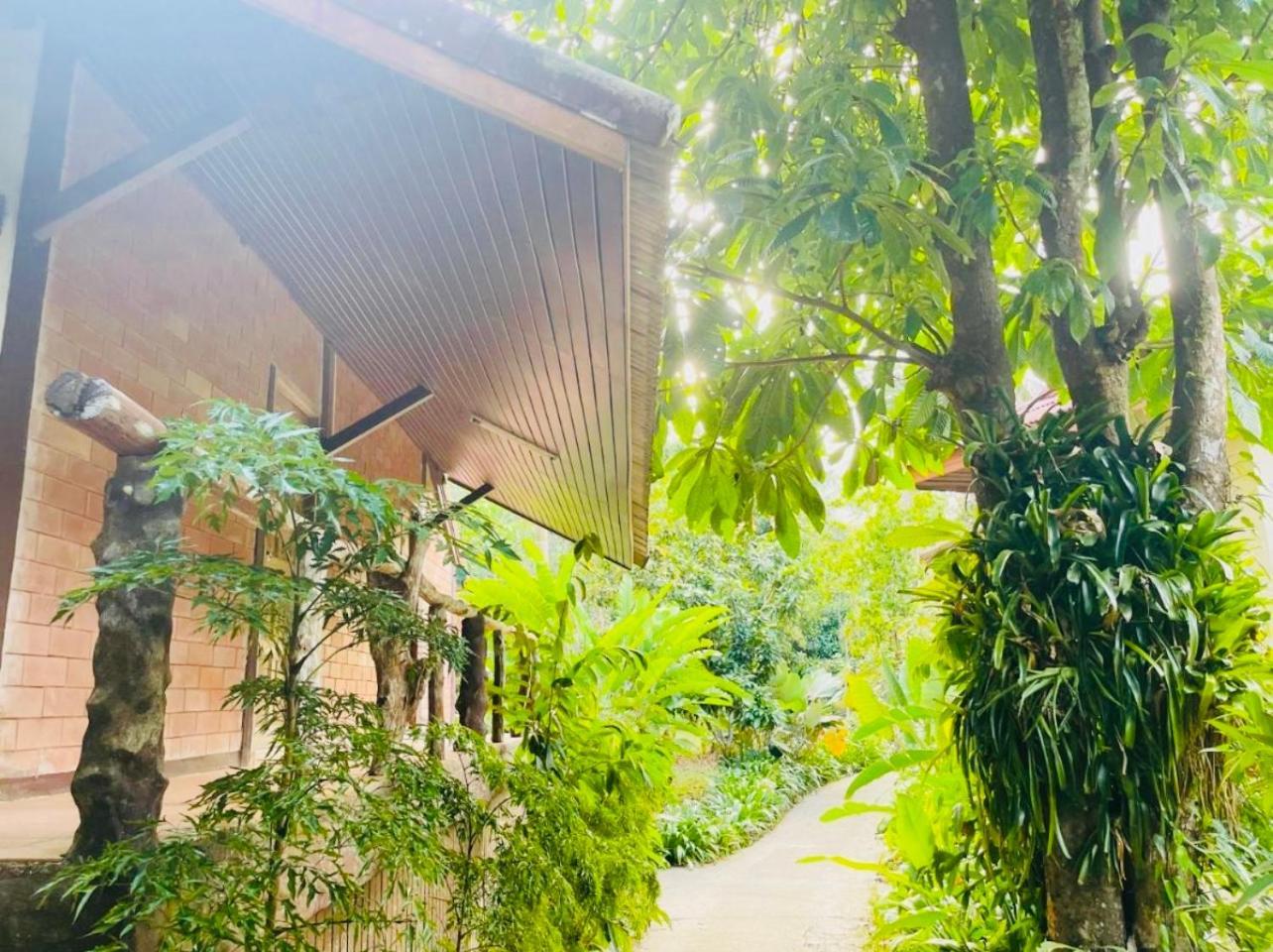 Resort Khaosok Monkeys & River Camps *