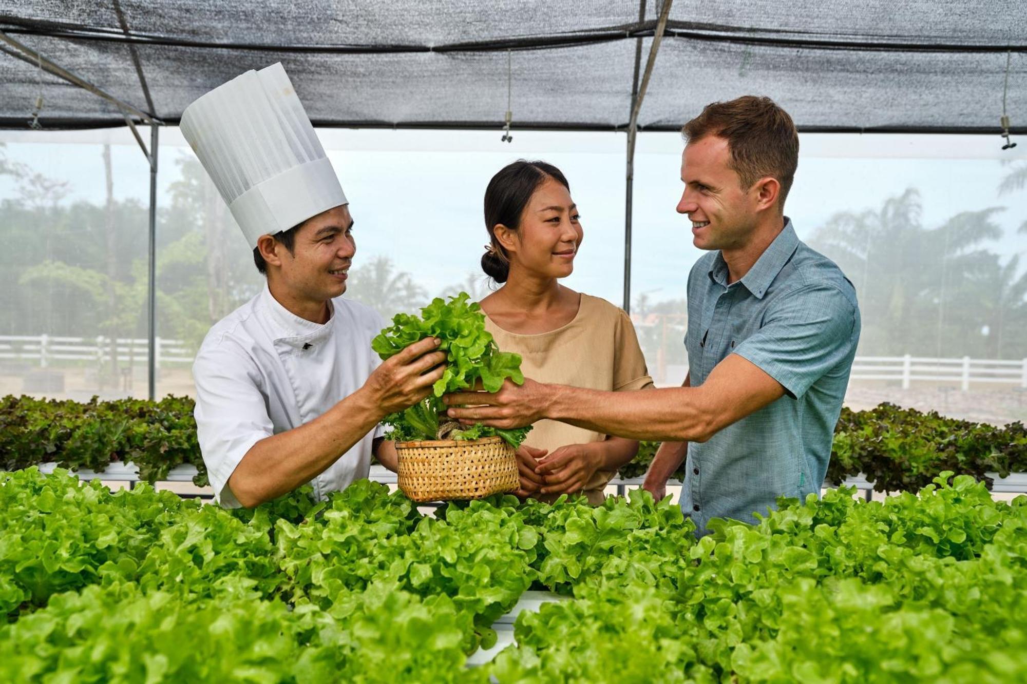Jw Marriott Hotel Khao Lak