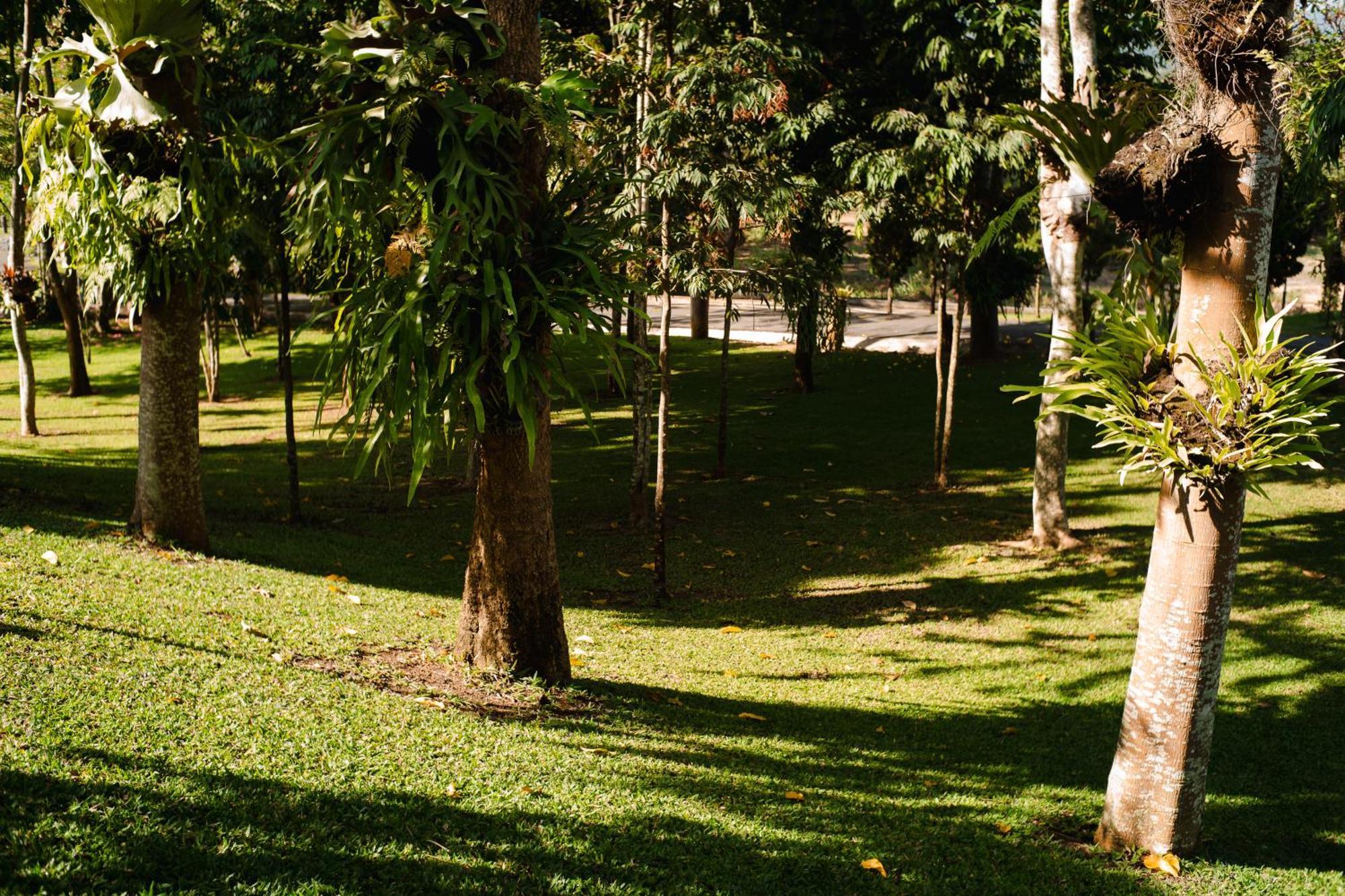 Thara Dara Khaoyai Resort 4*