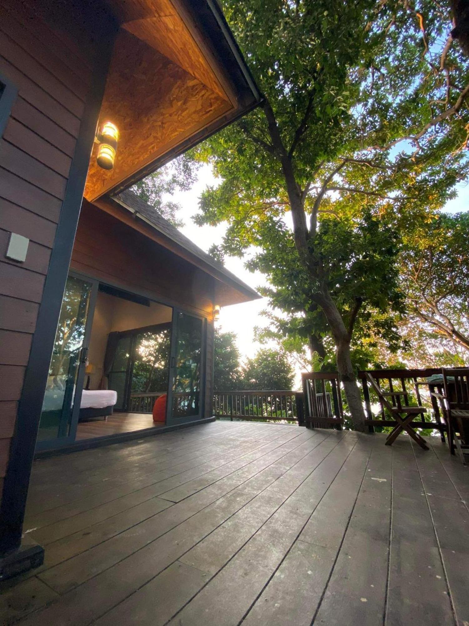 Cashewnut Cove